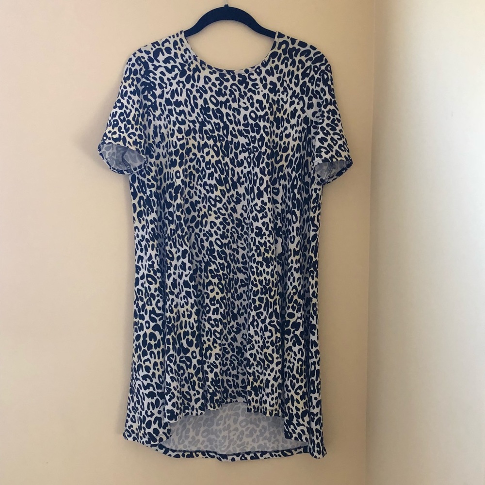 Zara Leopard Print Dress